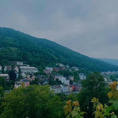 Appartement Engelenhof - Monica *