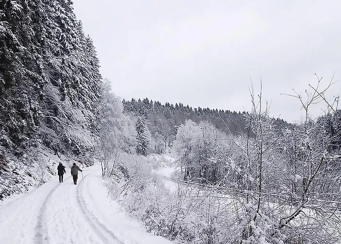 Appartement Engelenhof - Monica Winterberg